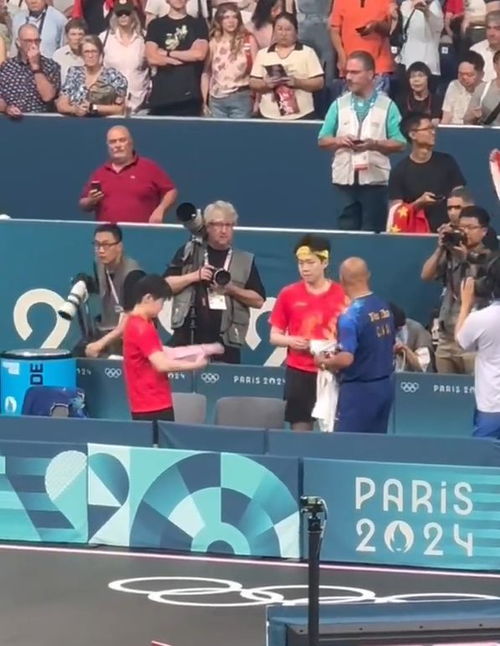 莎頭組合 球拍被惡意踩壞,針對(duì)還是無意,游泳隊(duì)持續(xù)0金