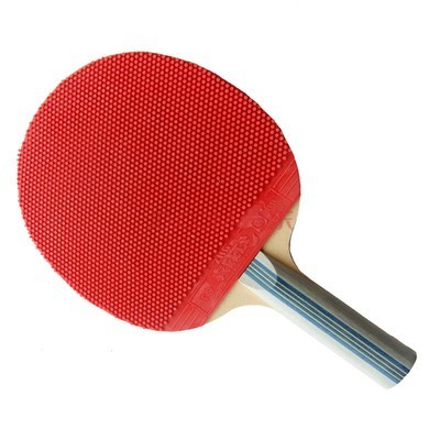 紅雙喜二星級橫拍長反膠乒乓球拍L203 (贈拍套)A款B款隨機發貨圖片