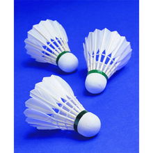 天天動 一站式羽毛球場地預(yù)訂與培訓(xùn)服務(wù)