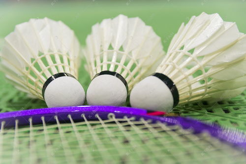 羽毛球場高清攝影大圖賞析 千庫網精彩球拍瞬間